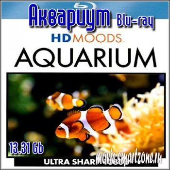 Аквариум / HD Moods : Blu-ray