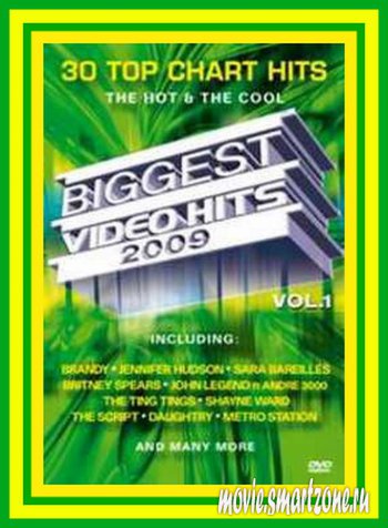 VA - Biggest Video Hits 2009 (2009) DVDRip