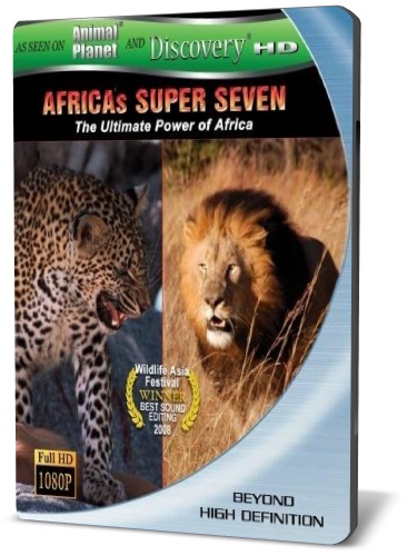 Великолепная семерка Африки / Africa's Super Seven (2006) BD Remux 1080p